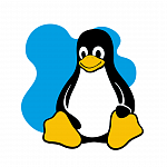 Linux. Уровень 2. Администрирование сервисов и сетей